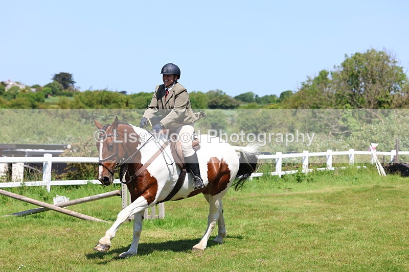 3E7A7271 - Class 30: Novice Working Hunter