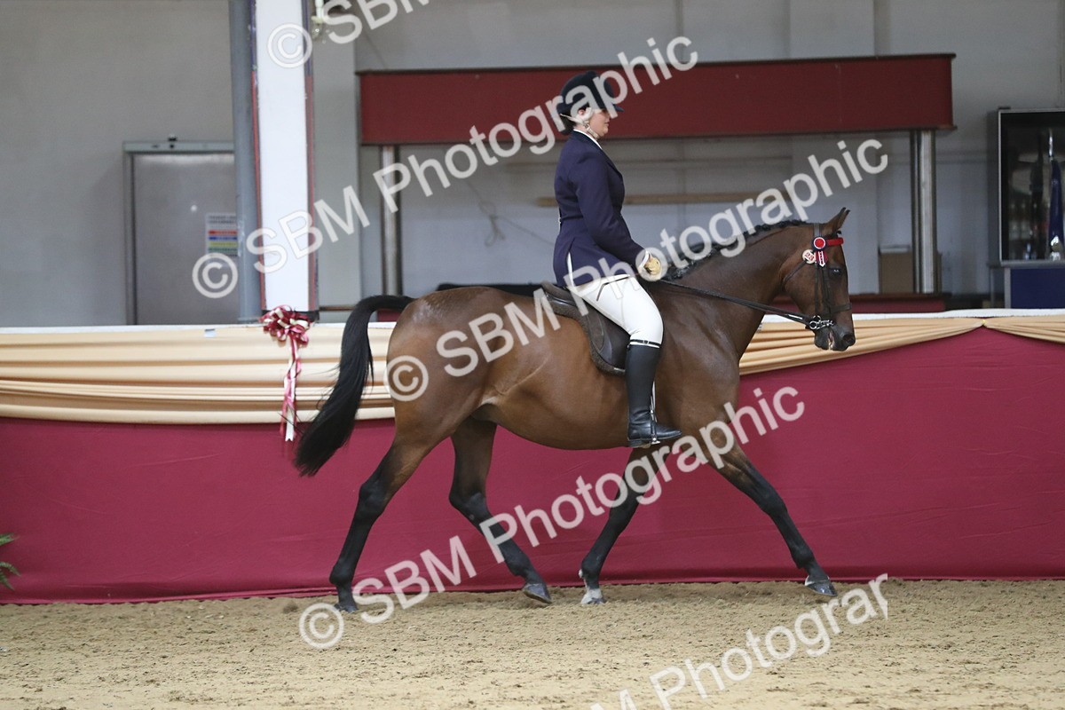 SBM_08387 - Class 11R Regional Ridden Veteran