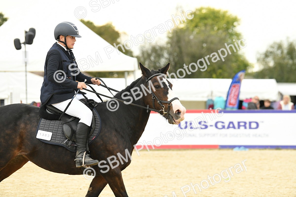 SBM_73208 - J16 - Junior Pony 75cm Championship