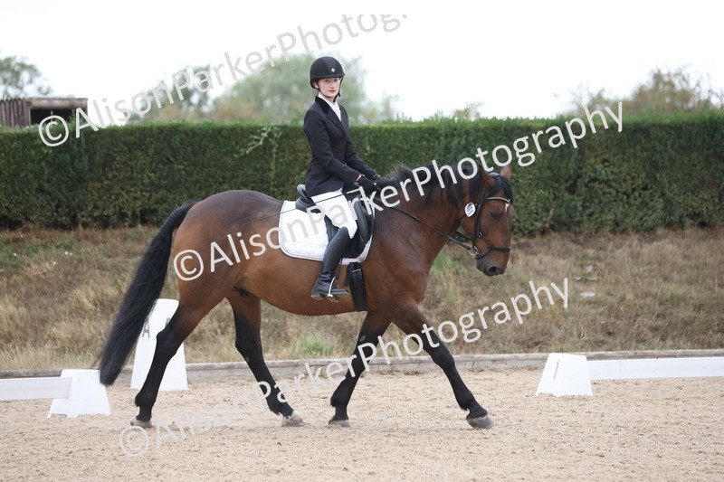 20250820-0337 - Class 11 - My Quest Novice 3