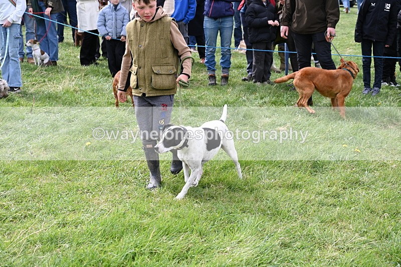 WJ6_8307 - Class 4 Prettiest Bitch