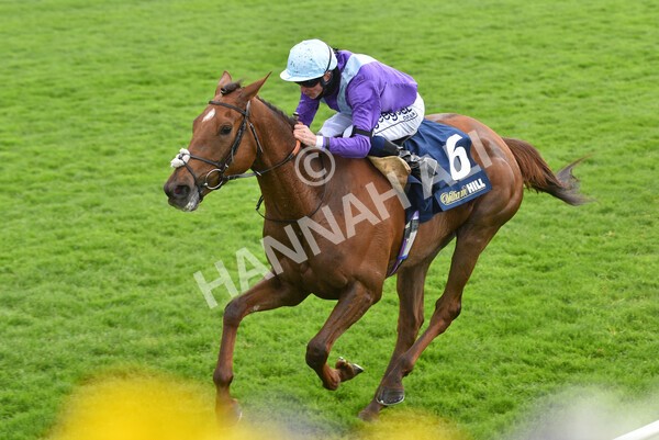 yr22052021r2-29 - Race 2 2.40pm William Hill Brontë Cup