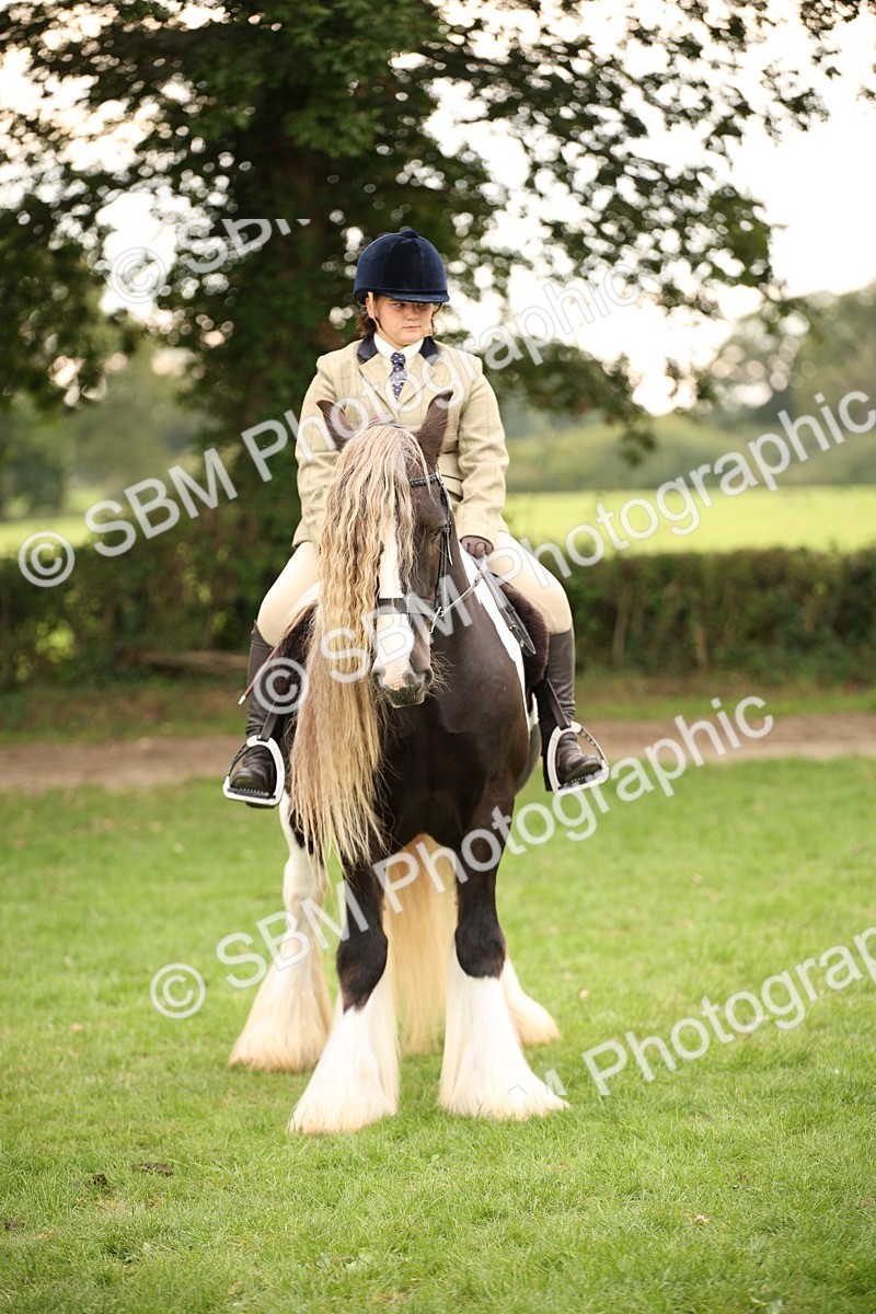 SBM_73558 - S68 - Traditional Cob Ridden