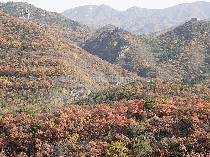 CHINA__1262 - China 2019