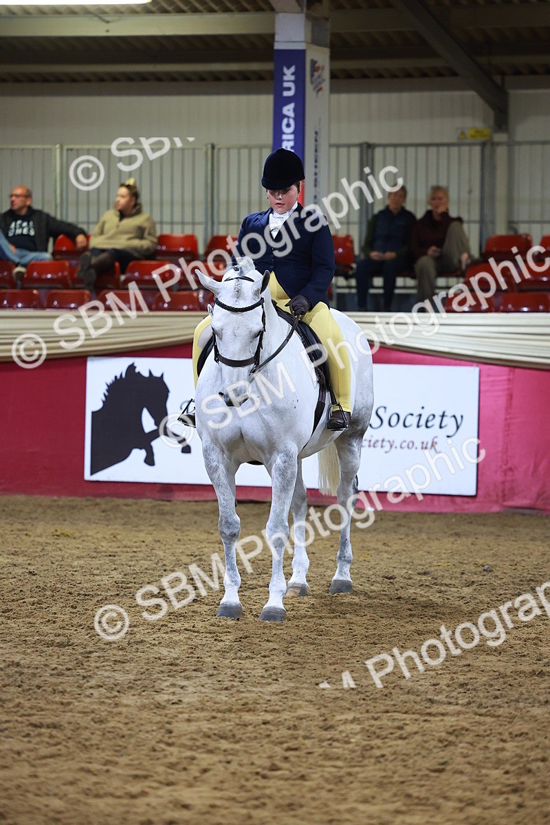 SBM_14967 - Class M - Equitation Champ
