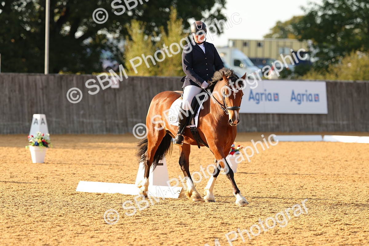 SBM_54506 - D12 - Small Tour Championship - Prelim 18