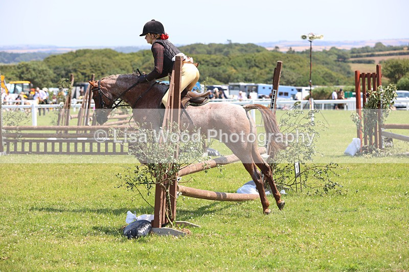 JPP_2956 - Class 22: Working Hunter 70cm