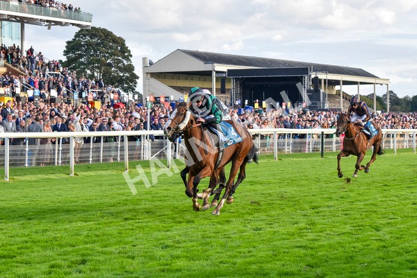 230923-Race 6-September Power-7023 - Race 6 4.55pm New To York Rio Brazilian Handicap