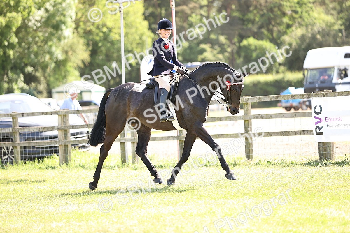 SBM_18076 - Class 81-83 - TSR Ridden Amateur of the Year - Horses