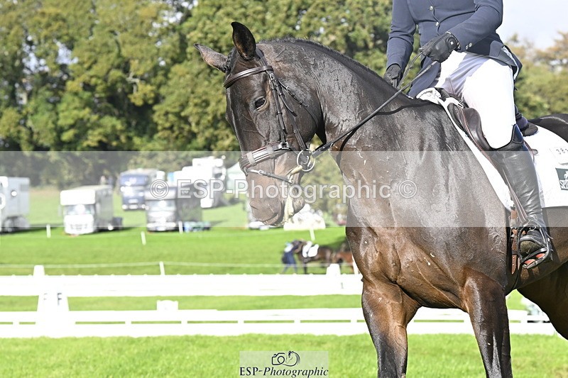 251023A-145613-04448 - E-383-Amy.Harris