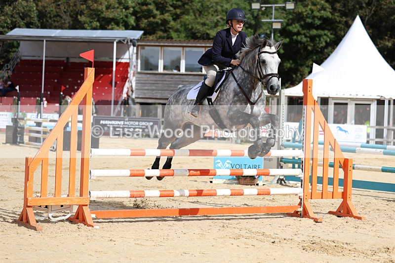 3E7A2042 - Class 4: Senior British Novice/90cm open