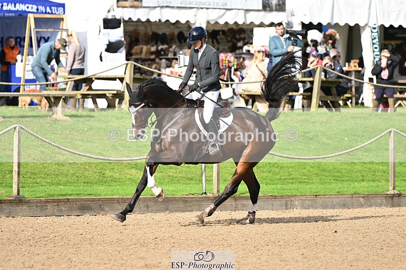 241025-120625-07434 - 202-Toots.Bartlett-C.WHY