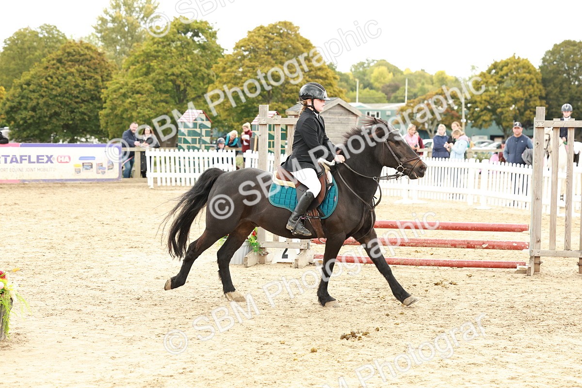 SBM_63567 - J12 - Junior Pony 55cm Championship