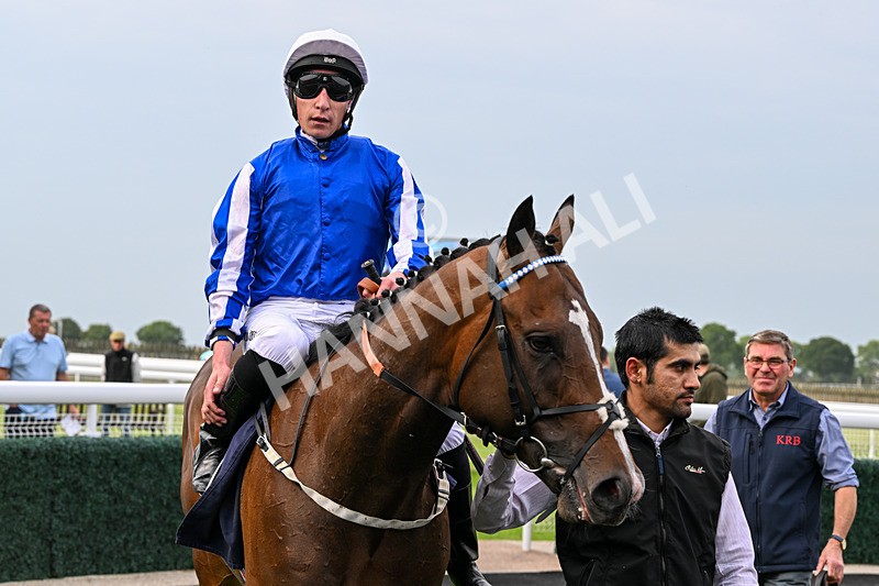 160626-Race 1-Waasil-3249 - Race 1 18.30pm Napoleons Casino Hull Dine In Style From £35 EBF Novice Stakes