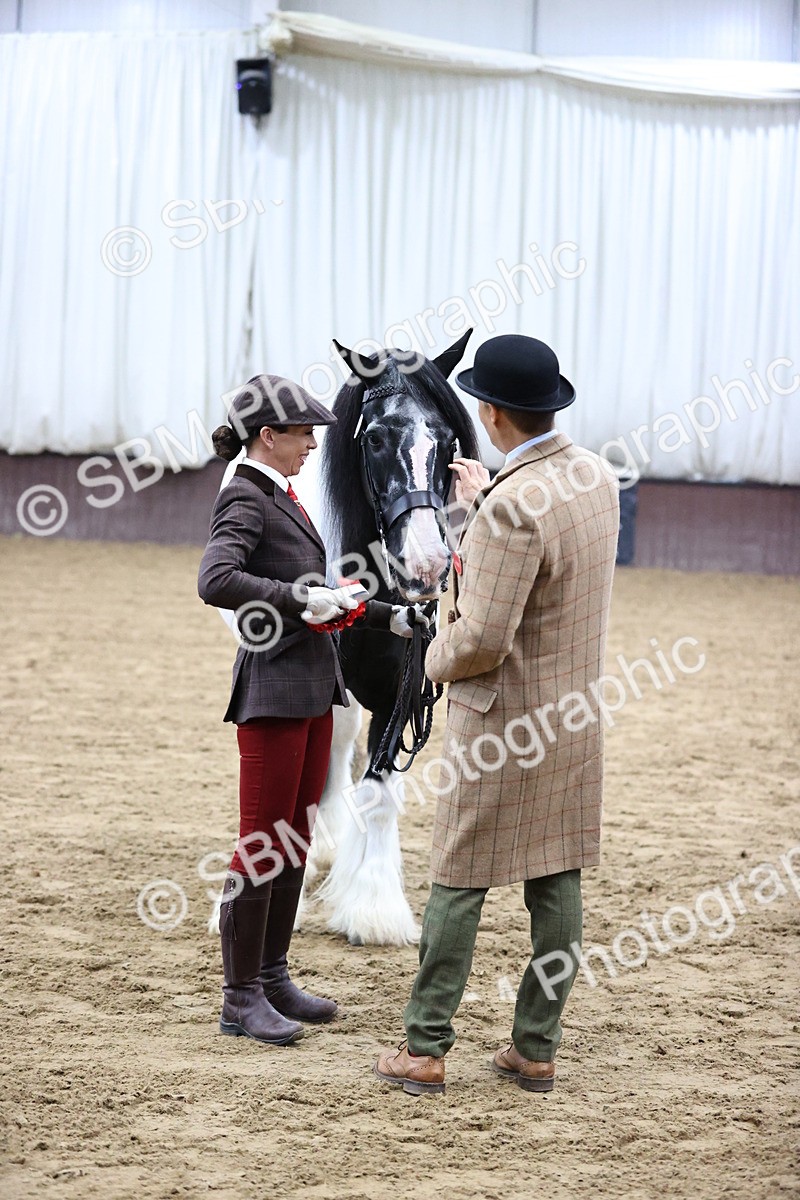 SBM_5680 - Class 40 - RESS In Hand Qualifier