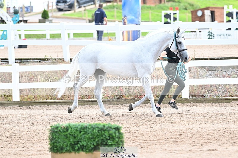 240717A-143941-02175 - Trot Up 2pm to 3pm - This folder is not in time order