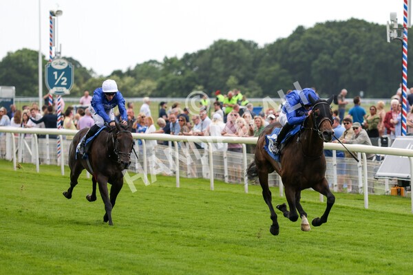 yr10062022r4-17 - Race 4 3.30pm Seat Unique Ganton Stakes