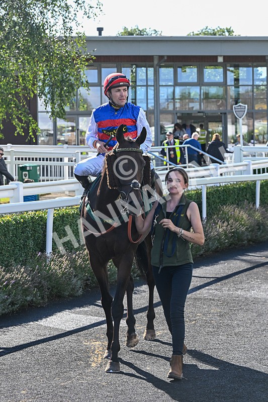 080926-Race 4-Kings Merchant-2567 - Race 4 3.36pm Fifth Regiment Royal Artillery Handicap (Div II)