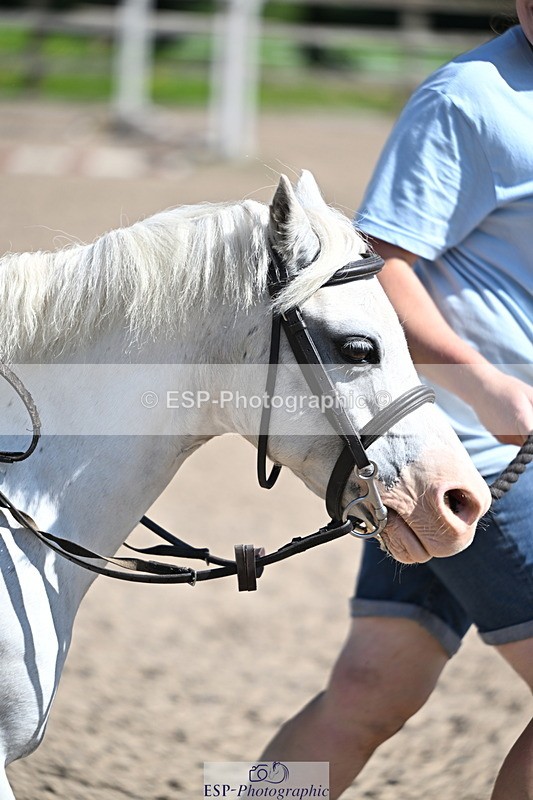 240729B-110239-02200 - Showjumping Competition