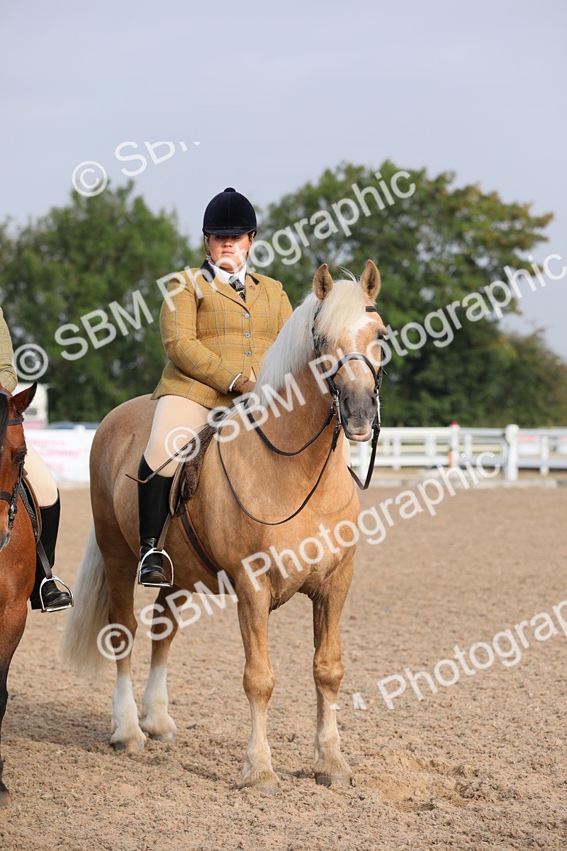 SBM_10148 - Class 302 Ridden M&M -Large Breeds