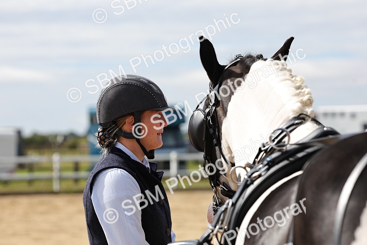 SBM_000925 - Class 8 - Novice Horse or Pony to any vehicle
