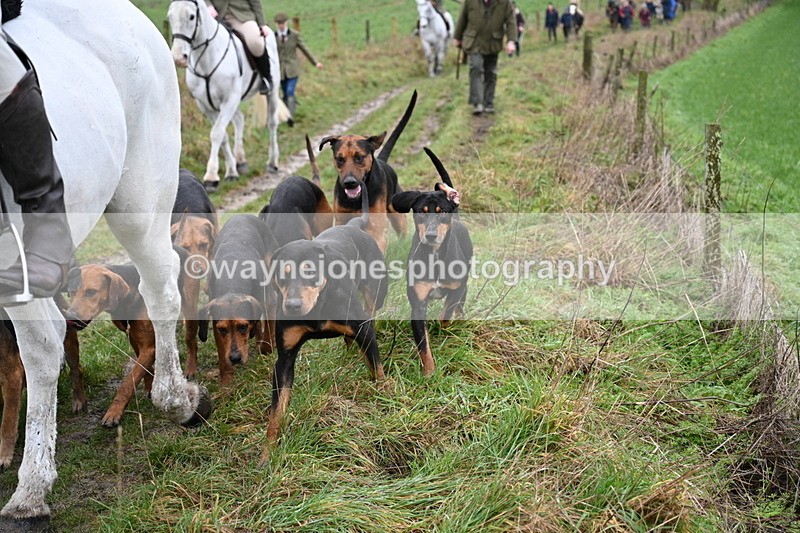 WJ7_9437 - Walk out..