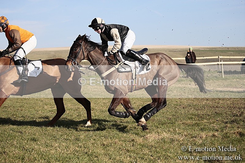 PtP 240218 495 - Vine & Craven Hunt Point-to-Point Barbury racecourse 24/02/18