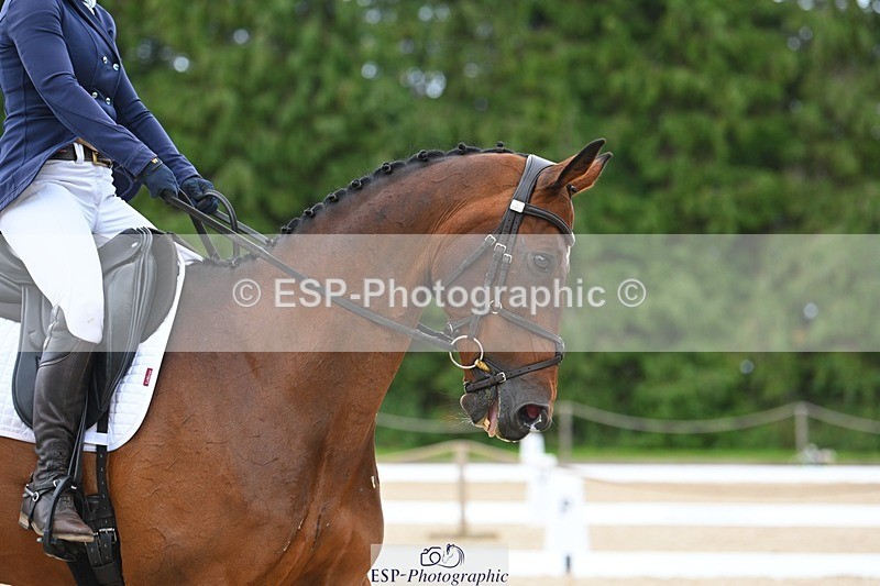 230813-141351-07708 - Cls 13 Medium Bronze 13.15 to End