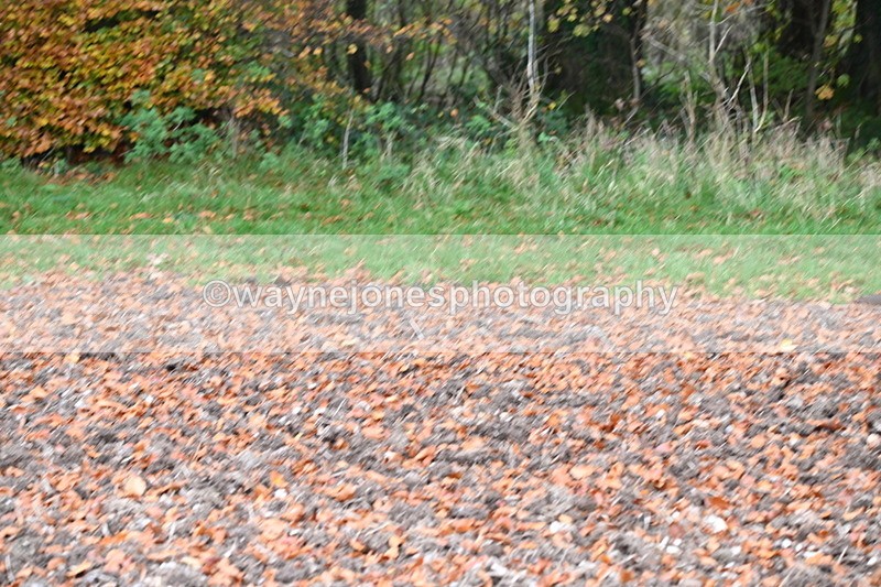 WJ6_8685 - Camera 2