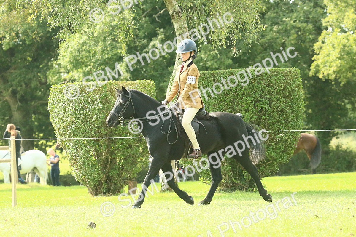 SBM_66509 - S34 - Rehabilitated Rescue Horse & Pony In Hand & Ridden