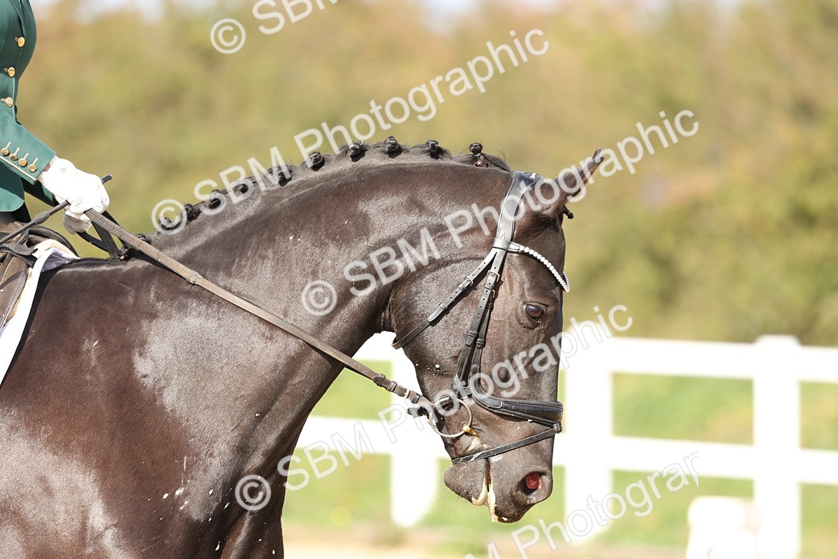 SBM_001482 - Class 3 - Novice 4