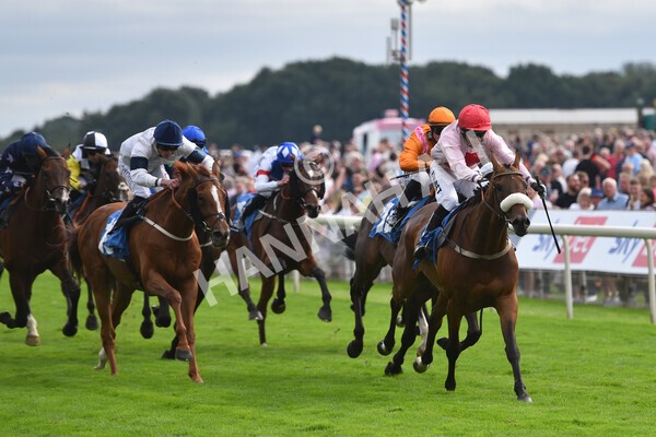 yr18082021r5-64 - Race 5 4.10pm Sky Bet Stakes