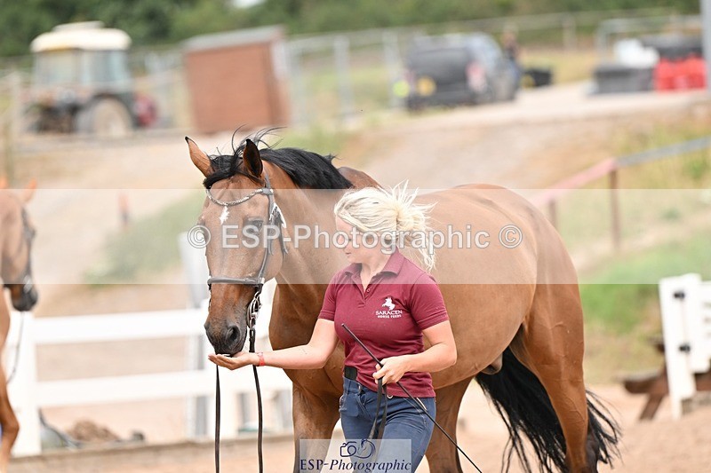 250716-153726-02062 - Trot Up 3.30 to 4.30