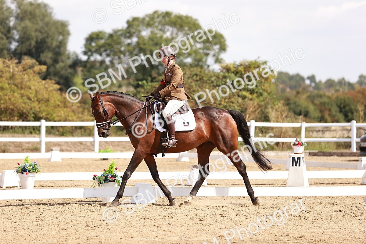 SBM_018418 - Class 17 - Novice 6