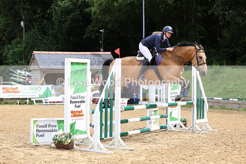 3E7A6282 - Class 4: Senior British Novice/90cm open