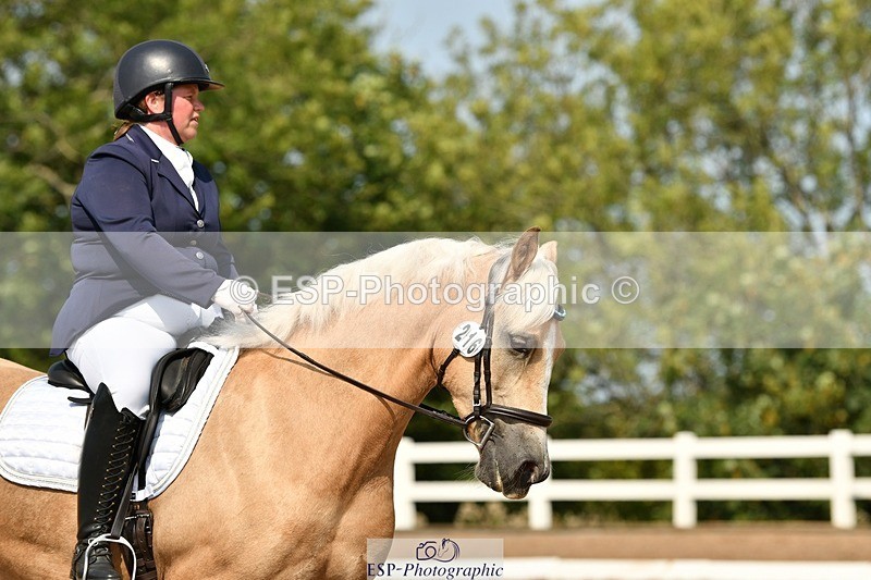 250817-112934-08598 - 216-Chloe.WaltonHaytors.Lord.of.the.Dance