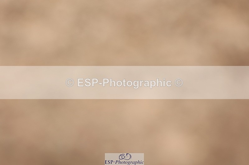 240621A-112145-00428 - Cls 9 BD Music Elementary