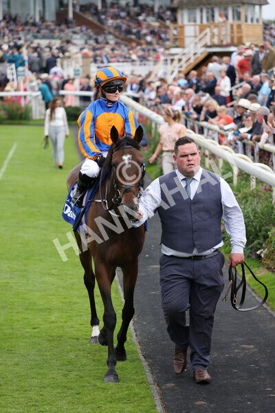 yr19082021r4-25 - Race 4 3.35pm Darley Yorkshire Oaks (British Champions Series race)