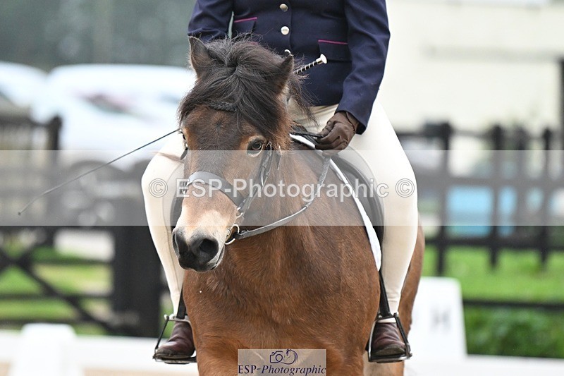 241103-084647-00058 - Intro 3 - 8.30 to 9.30