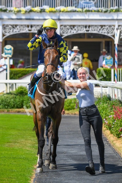 160623-Race 2-Celestial Flight-0329 - Race 2 2.25pm SKF Rous Selling Stakes