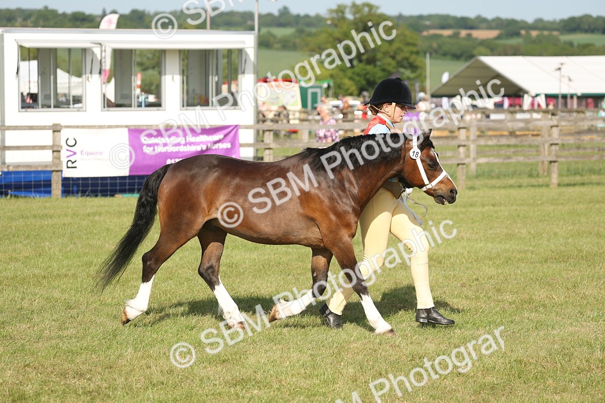 SBM_10360 - Class 33-38 - SSADL RIHS Qualifiers