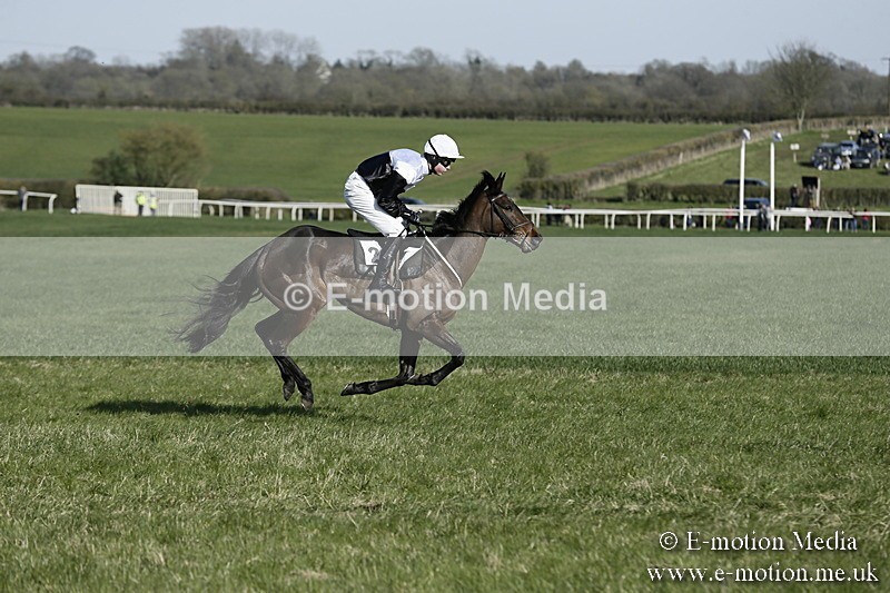 PtP 250317 255 - V.W.H. Hunt Point-to-Point Siddington 25/03/17