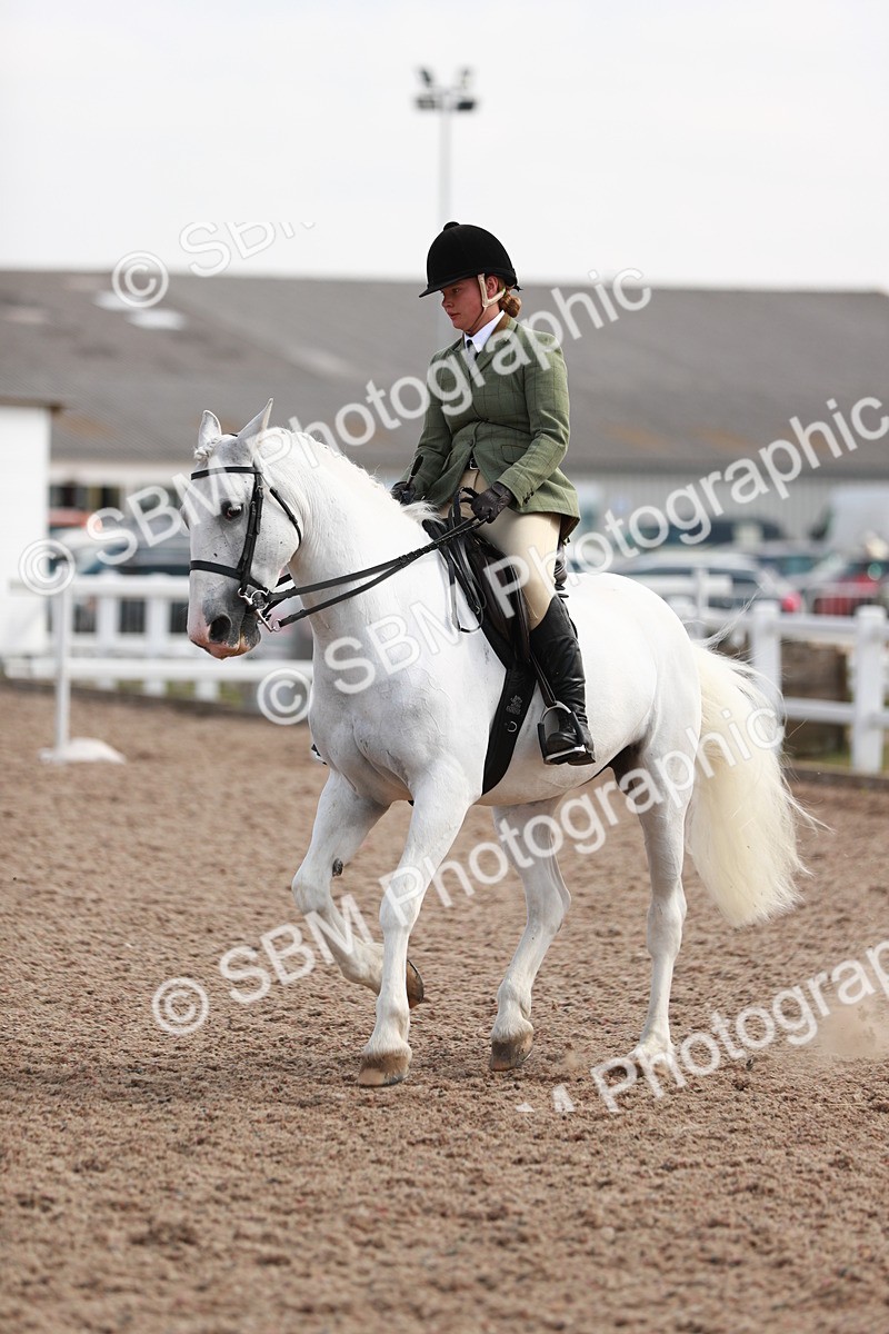 SBM_14913 - Class 212 Ridden Hunter - Small