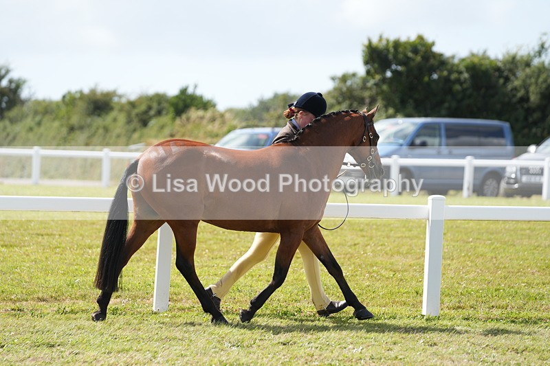 DSC07459 - Class 70: NPS SHP 4 years and over