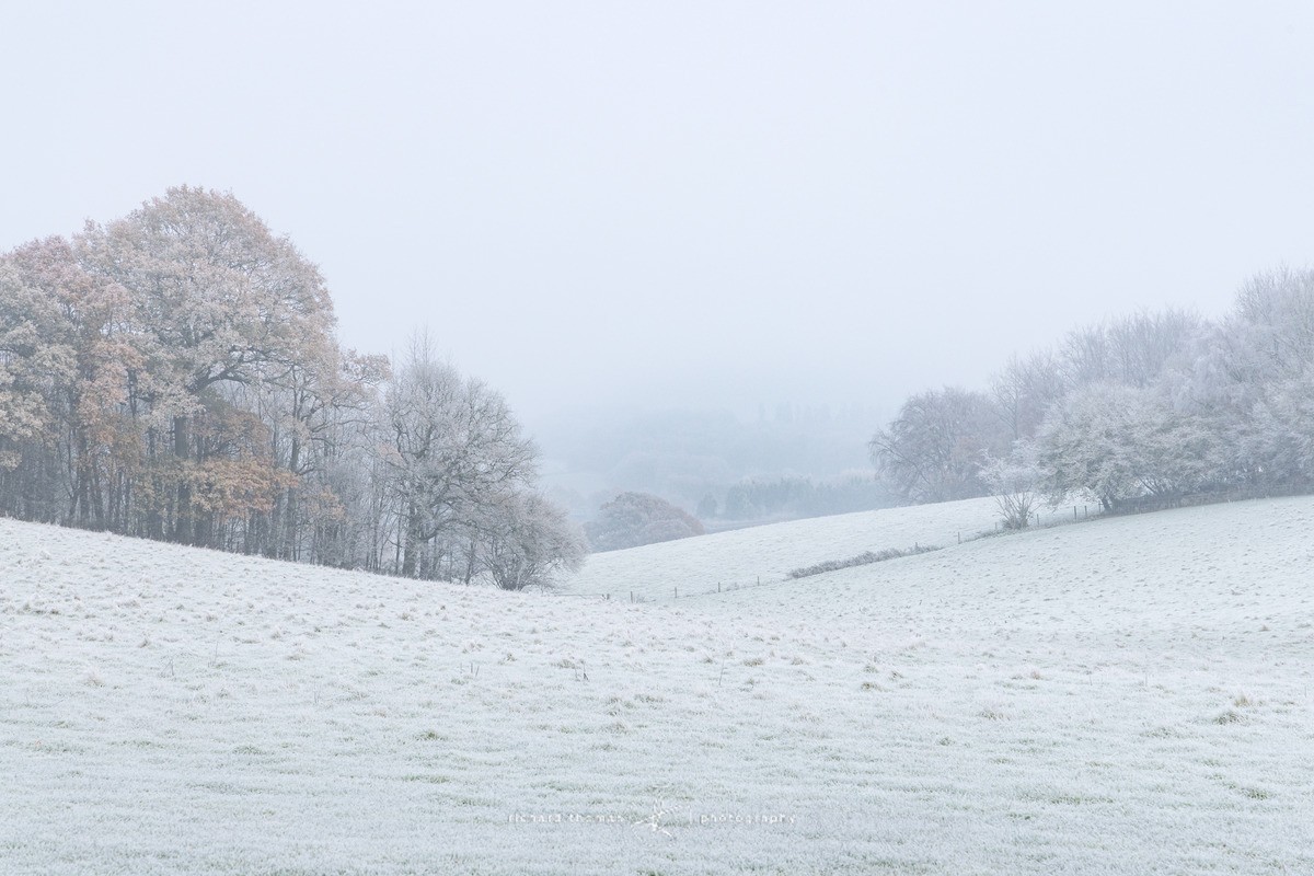 Farringdon frost - WINTER