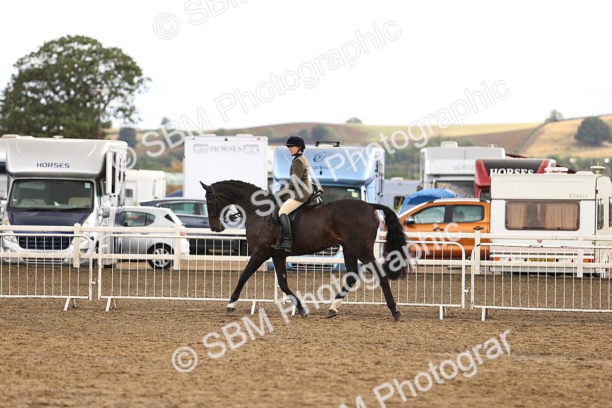 SBM_00675 - Class 53 - Ridden Competition Horse Pony
