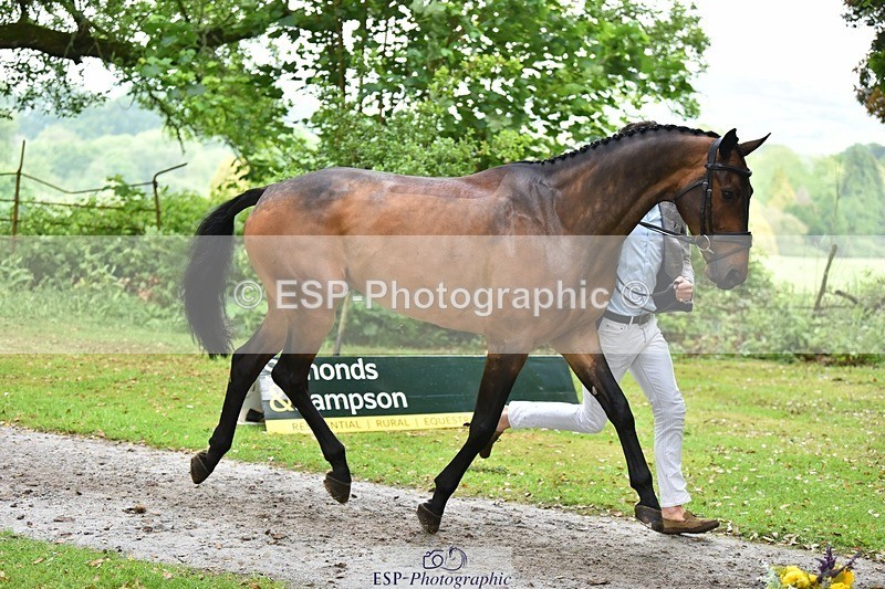 240522-172238-01561 - 277-MACKENZY-Will_Rawlin