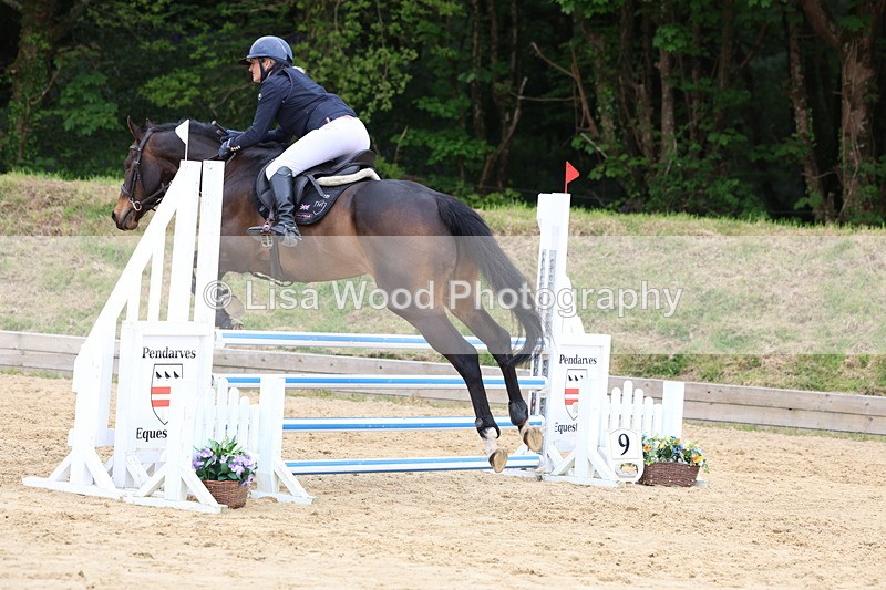3E7A6479 - Class 4: Senior British Novice/90cm open
