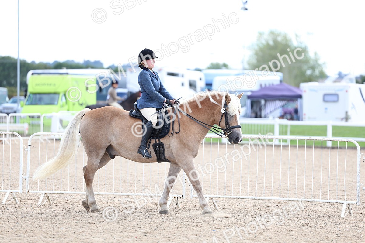 SBM_17059 - Class 315 - Best Horse - Rider Combination