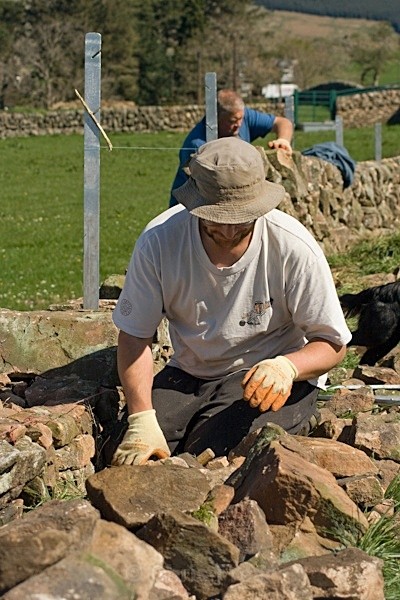  - Drystone Walling